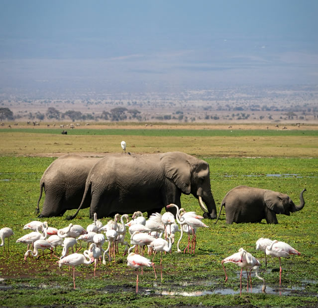 3 Days 2 nights Amboseli1